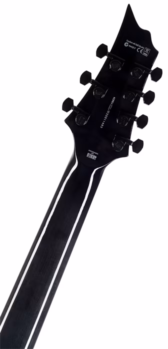 ESP LTD H-1007FM STBLK - Chitară electrică cu 7 corzi