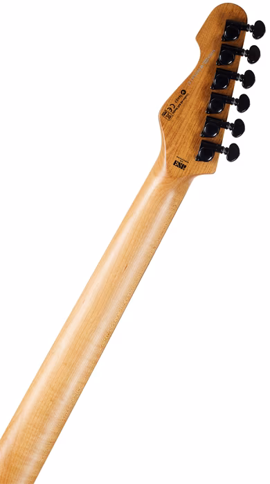 ESP LTD SN-1000 FR M BLKBLAST - Chitară electrică