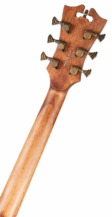 D'Angelico Premier Gramercy Vintage Natural - Chitară electro-acustică