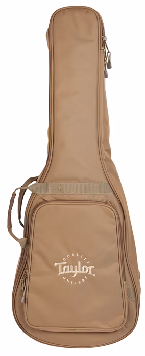 Taylor Academy 10e (utilizate) - Chitară electro-acustică