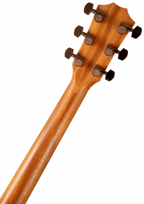 Taylor 224ce-K DLX - Chitară electro-acustică