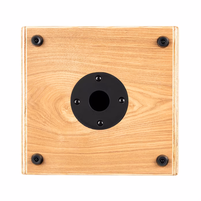 Ortega CONE-ASH - Combo instrumente acustice