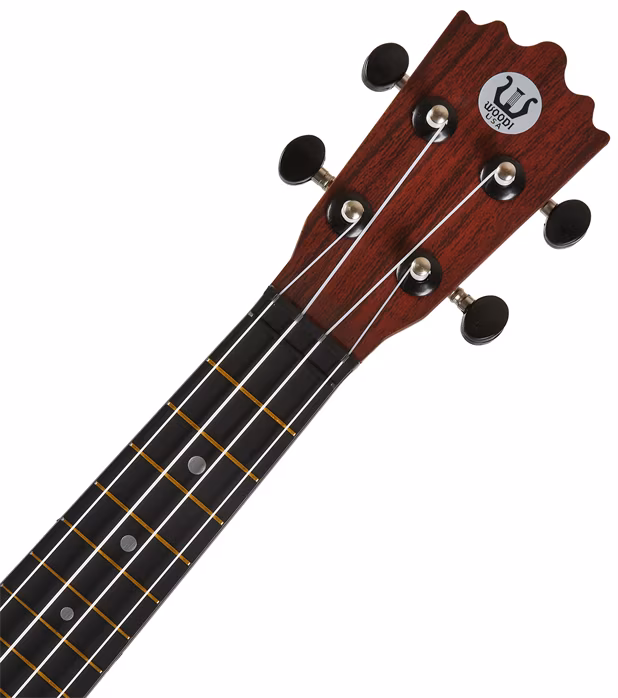 Woodi WU-21W(BK) - Ukulele acustice