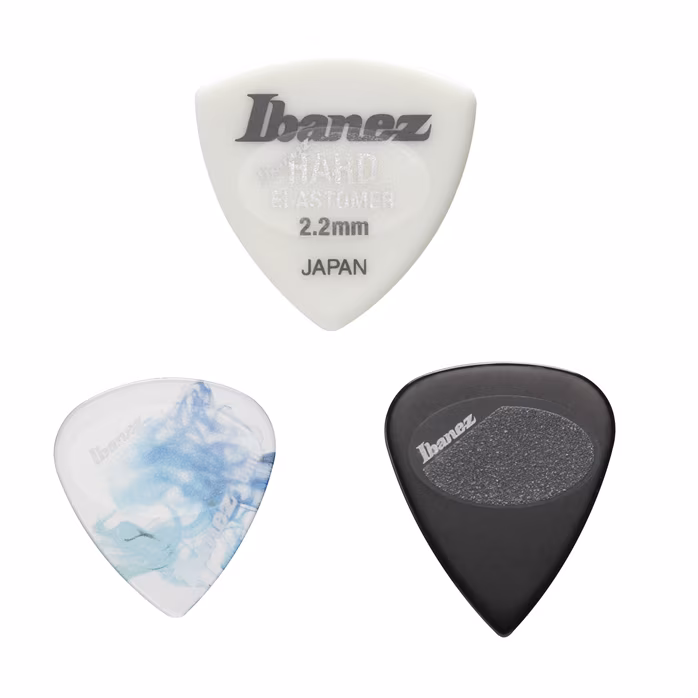 Ibanez PGS12 - Accesorii