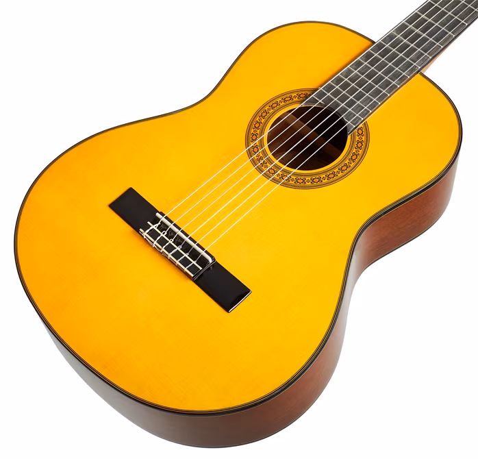 Washburn C40-A-U - Chitară clasică