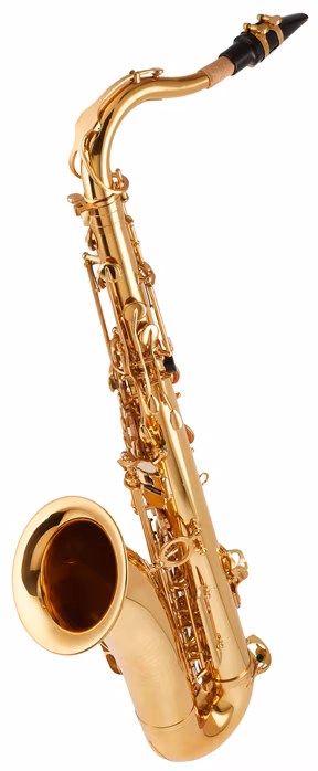 Bacio Instruments BTS-100 - Saxofon 