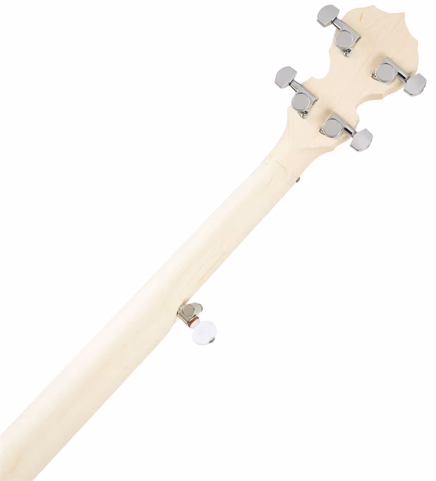 Deering Goodtime Openback Banjo - Banjo