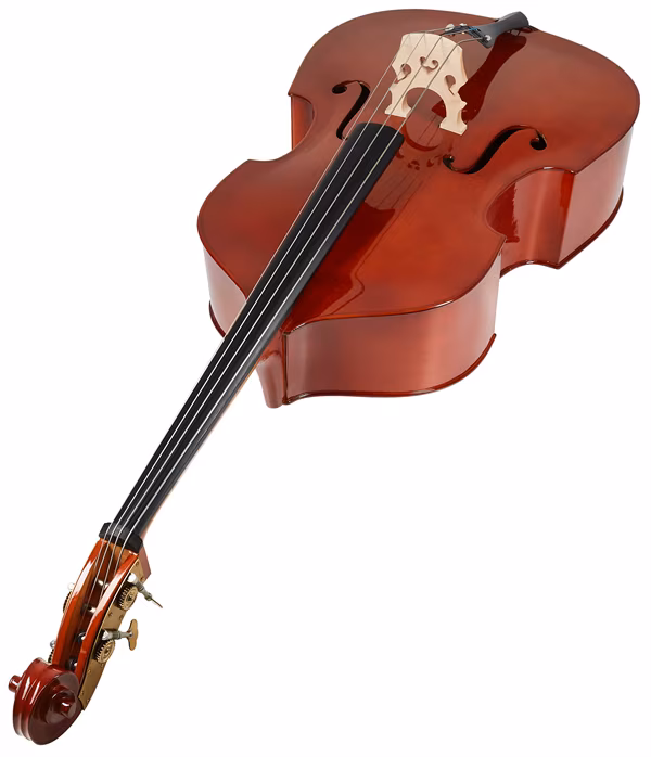 Soundsation PDB-12 (neambalat) - Contrabas acustic