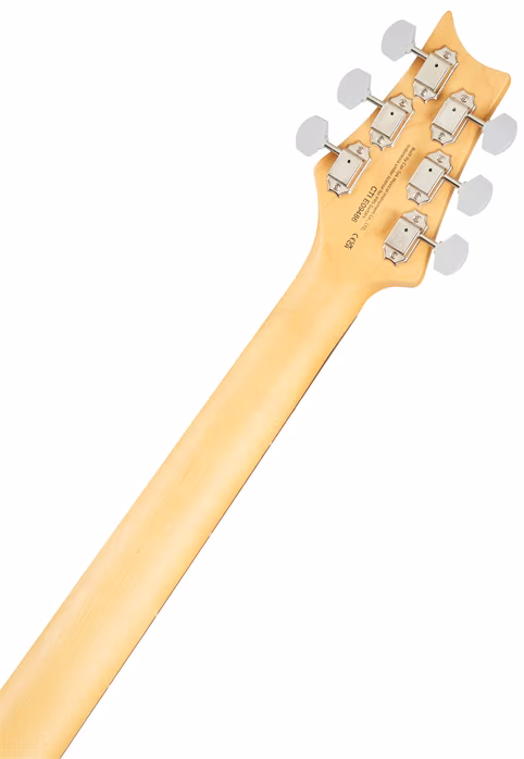 PRS SE Silver Sky Ever Green (neambalat) - Chitară electrică