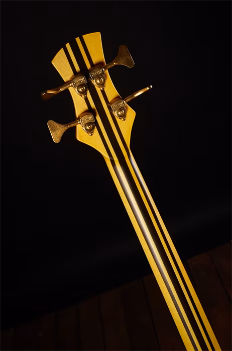 AV Basses Modern 4 Cocobollo - Chitară bass electrică