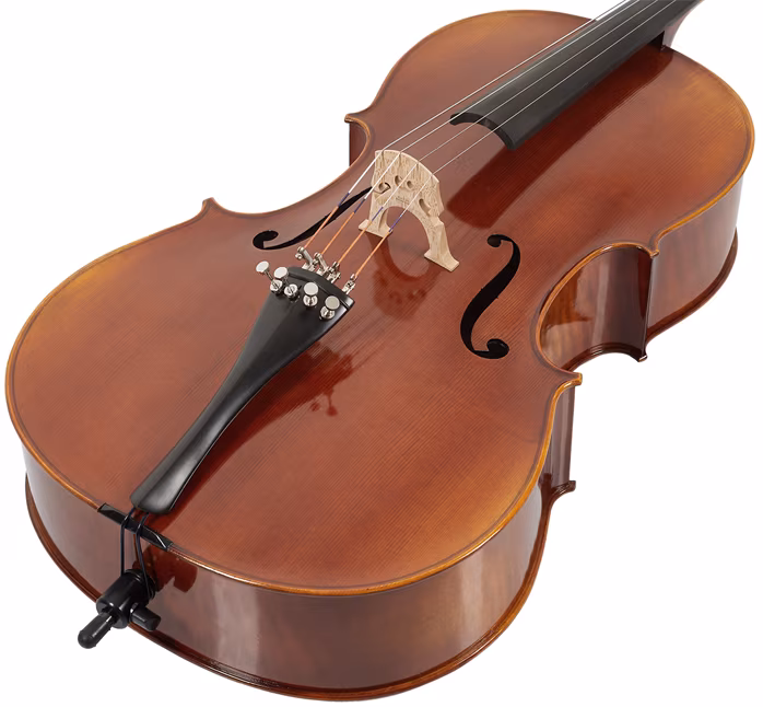 Bacio Instruments Professional Cello Antique (ACA300) 4/4 - Violoncello