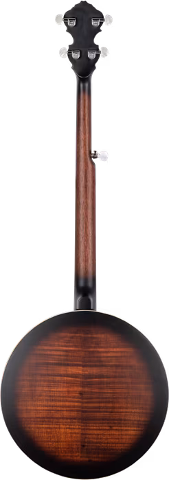 Ortega OBJ300-WB - Banjo