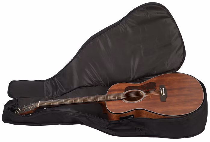 Walden WAG551EW - Chitară electro-acustică