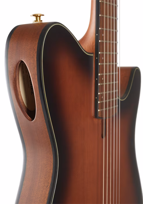 Ibanez FRH10NF Brown Sunburst - Chitară clasică electro-acustică