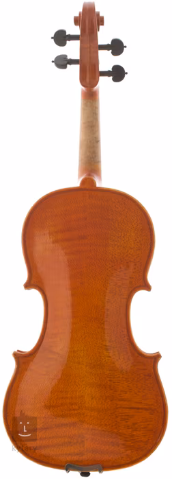 Pierre Marin VIVAV44 - Vioară acustică