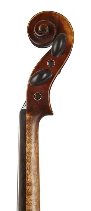 Strunal Schönbach Pienza 194 4/4 - Vioară acustică