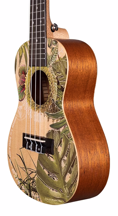 Cascha HH 2606 - Ukulele acustice
