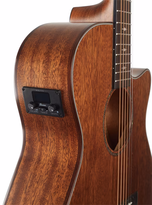 Ibanez AEG220S Natural - Chitară electro-acustică