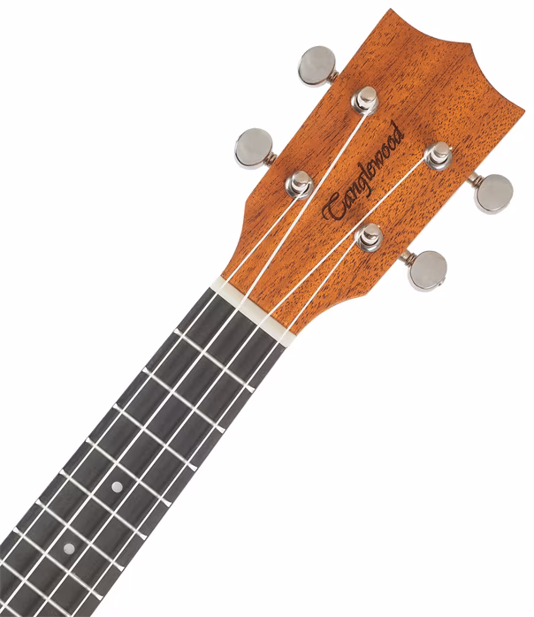 Tanglewood TWT 1 - Ukulele acustice