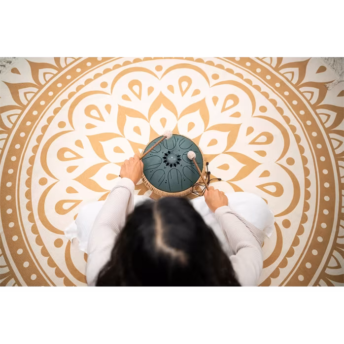 Meinl Sonic Energy 10" Octave Steel Tongue Drum F# Minor - Tongue drum