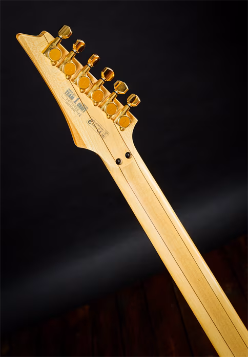 Ibanez 2007 JEM Steve Vai J. Craft - Chitară electrică