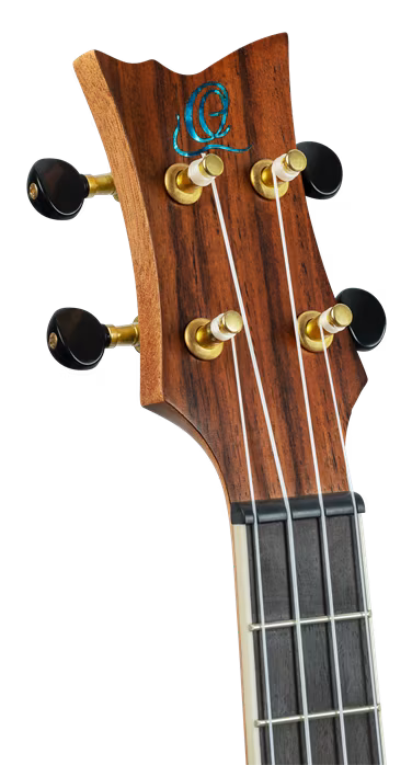 Ortega RUGH-OCT - Ukulele acustice