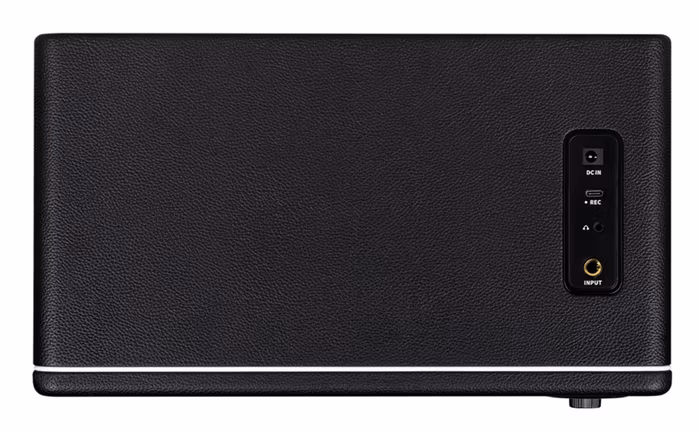 Mooer Hornet 30i Black - Modeling combo chitară 