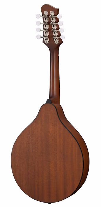 Eastman PCH-M104-GB - Mandolină acustică 
