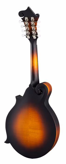 Eastman MDA315E-SB - Mandolă electro-acustică 