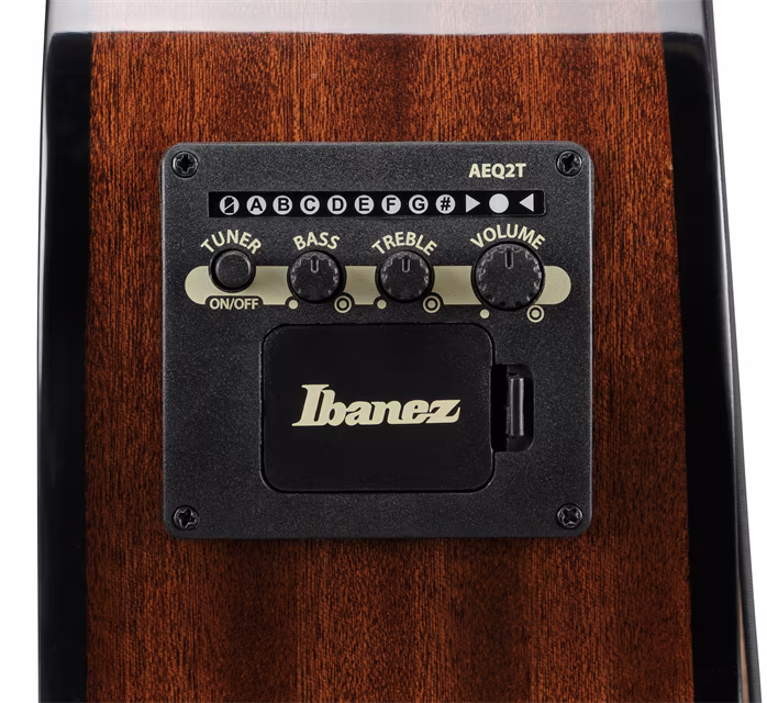 Ibanez AEGB25E Transparent Black - Chitară bass electro-acustică