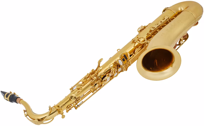 Chateau CTS-22GL - Saxofon 