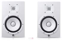 HS8 White x2