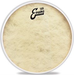 Evans 12" Calftone - Blana na tomy