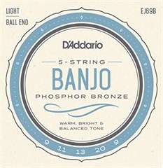 D'Addario EJ69B