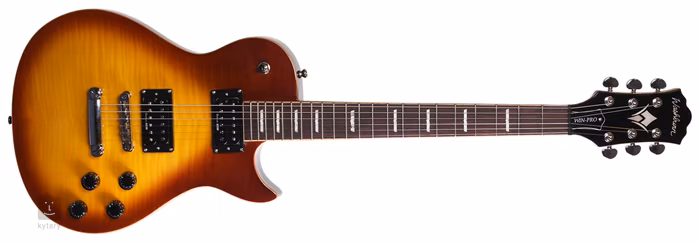 Washburn WINPRO FTSB - Elektrická gitara