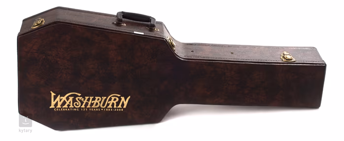 Washburn R319SWKK - Akustická gitara