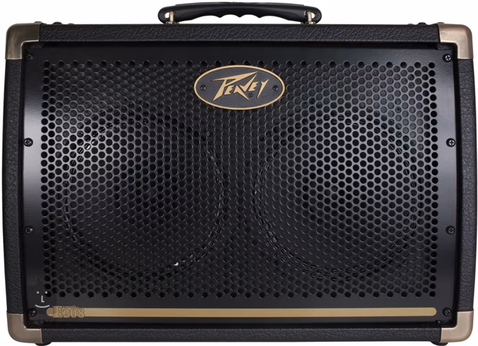 Peavey Ecoustic E208 - Kombo na akustické nástroje