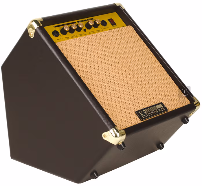 Kinsman KAA25 - Kombo na akustické nástroje