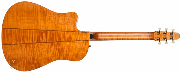 Seagull Artist Cameo CW L.R.Baggs Elements - Elektroakustická gitara