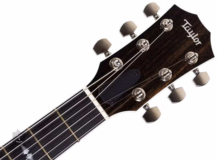 Taylor T5z-PRO GB - Elektroakustická hybridná gitara