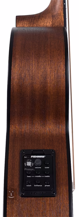 Dowina Rustica GACE - Elektroakustická gitara