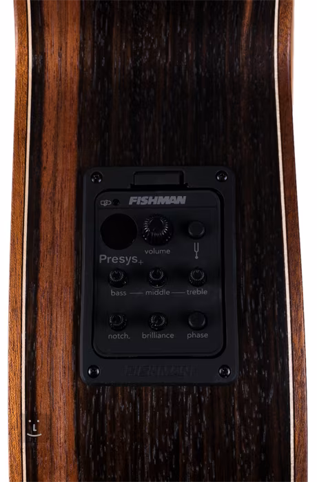 Dowina Danubius GACE (rozbalené) - Elektroakustická gitara