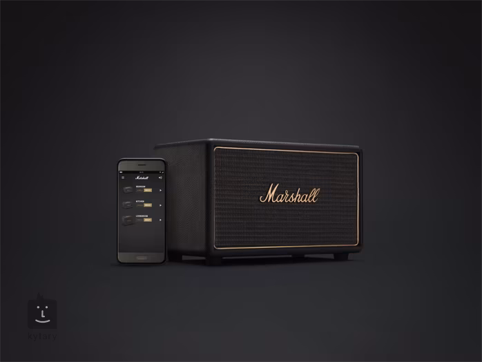 Marshall ACTON MULTI ROOM BLACK - Ozvučovací systém