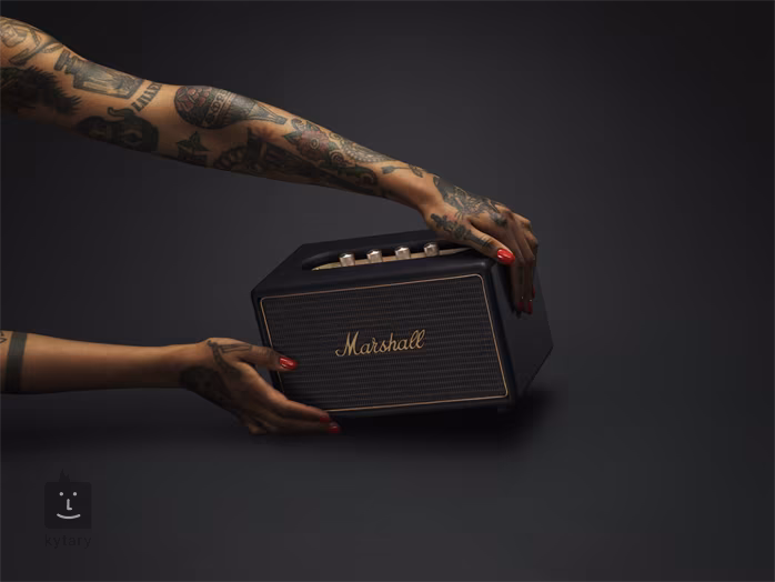 Marshall ACTON MULTI ROOM BLACK - Ozvučovací systém