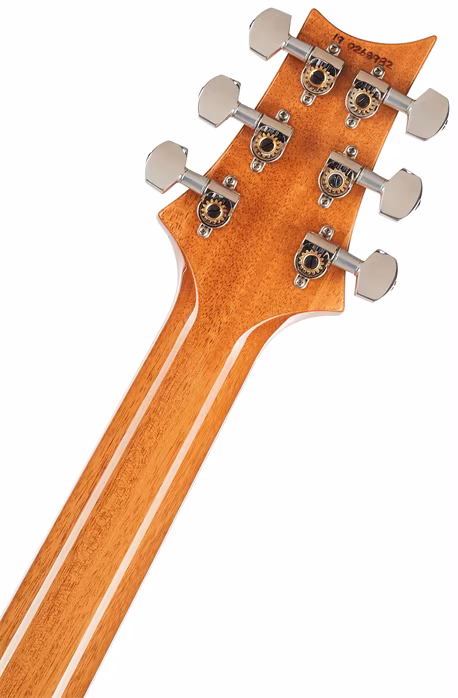 PRS Custom 24 Piezo 10 Top Pattern Thin AE - Elektrická gitara