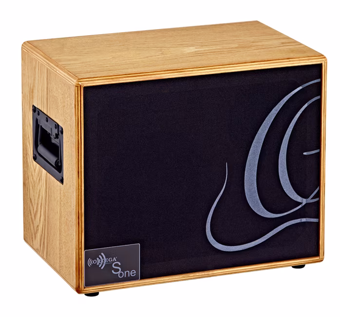 Ortega S One - Gitarový reprobox