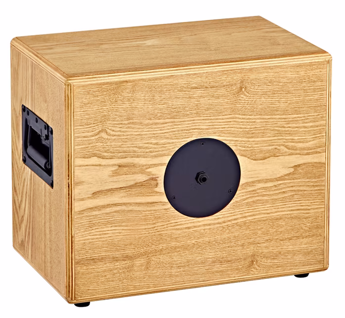 Ortega S Two - Gitarový reprobox