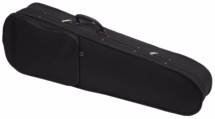 Palatino VC 300 Vln Case - Puzdro na husle