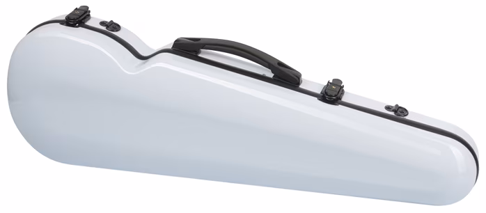 Palatino FG 240 WH Vln Case - Puzdro na husle