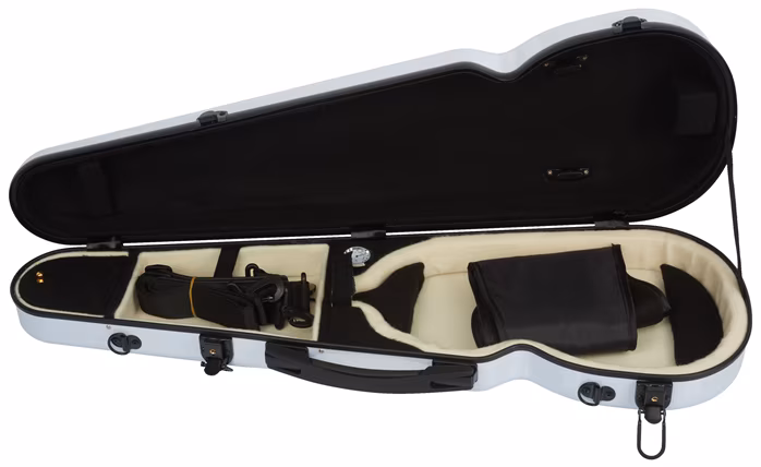 Palatino FG 240 WH Vln Case - Puzdro na husle